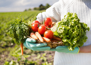 occ-veggies occ-veggies